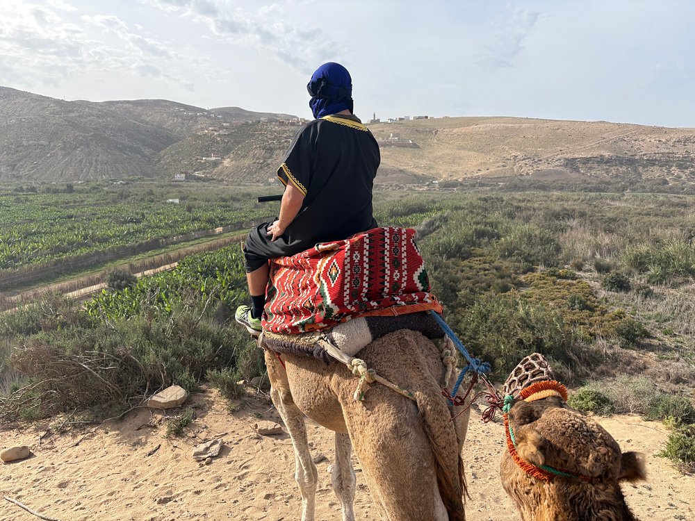 Camel ride Agadir coastal views